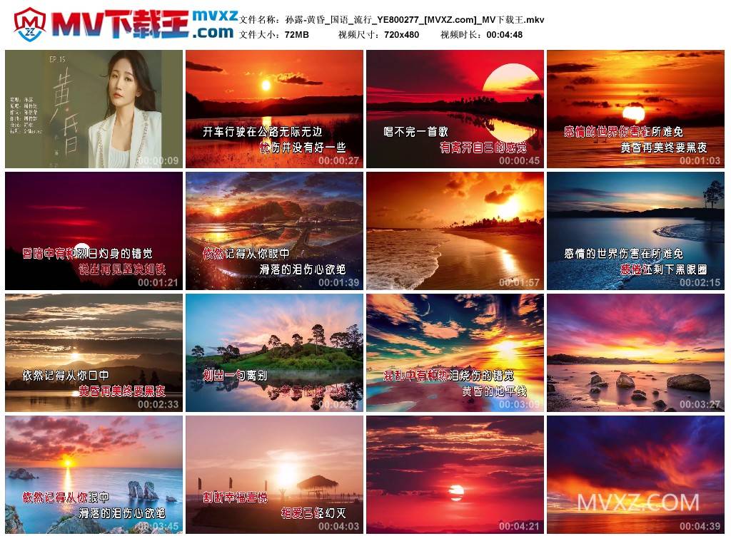 孙露-黄昏_国语_流行_YE800277